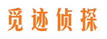 岳西侦探公司